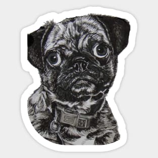 In need of cuddles!!! ....Pug Sticker